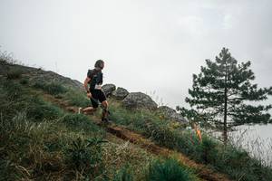 BIB: 
                            <button type="button" onclick="openModal(25997443)" class="btn btn-primary btn-sm float-right btn-popup" data-toggle="modal" data-target=".modal-high-quality">
                        <i class="fas fa-shopping-cart"></i> Add to Cart
                    </button>
                                            <button type="button" onclick="isThisMe(25997443, true)" class="btn btn-success btn-sm float-right btn-popup btn-isme hidden" data-toggle="tooltip" data-placement="bottom" title="นี่คือรูปของคุณใช่ไหม คลิกที่นี่เพื่อเอาเข้าอัลบั้ม">
                        <i class="fas fa-plus"></i> Add to album
                    </button>
                    <button type="button" onclick="isThisMe(25997443, false)" class="btn btn-warning btn-sm float-right btn-popup btn-isnotme hidden">
                        <i class="fas fa-ban"></i> Remove from album
                    </button>